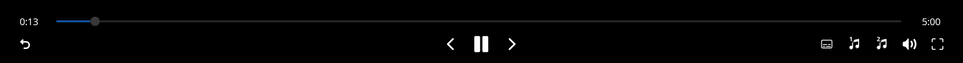 The playback control bar, with the position along the top and the buttons beneath it.